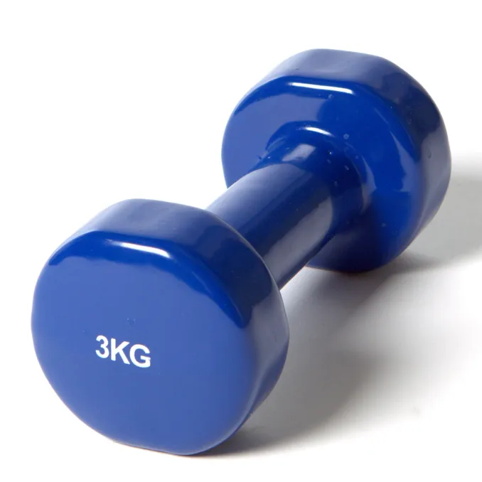 3kg Vinyl Dumbbell/Barbell/ Free hand exercise tool/ Exercise Tool